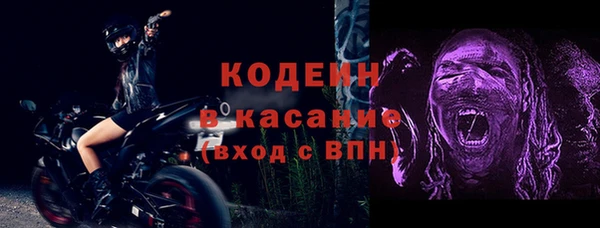 СК Сафоново